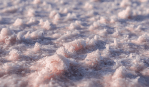 INGREDIENTS - Pink Lake Salt Desert Lake Salt