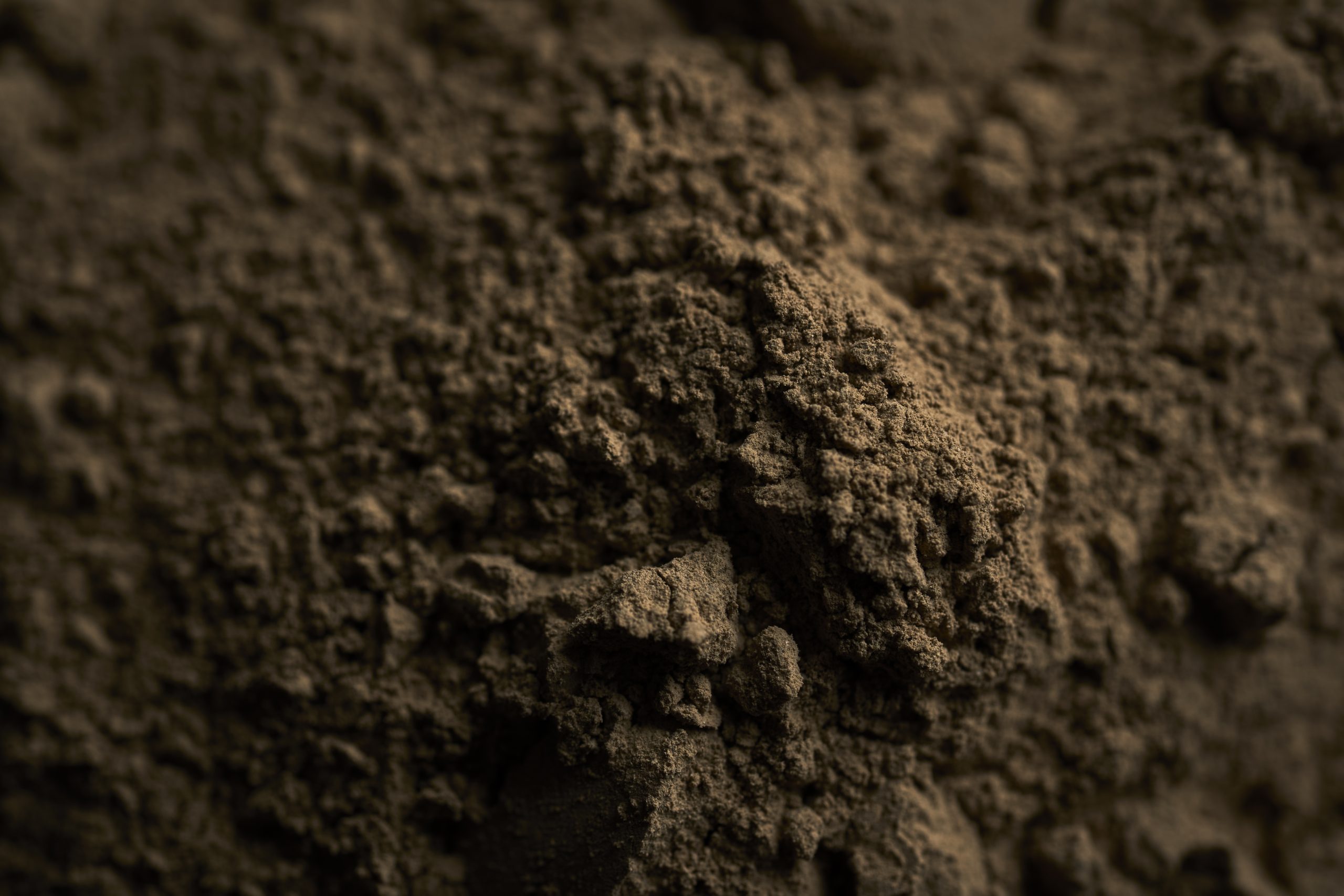 ndigenous Green Clay