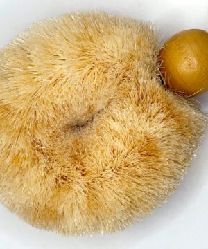 Eco Palm Brush with Medium Bristle