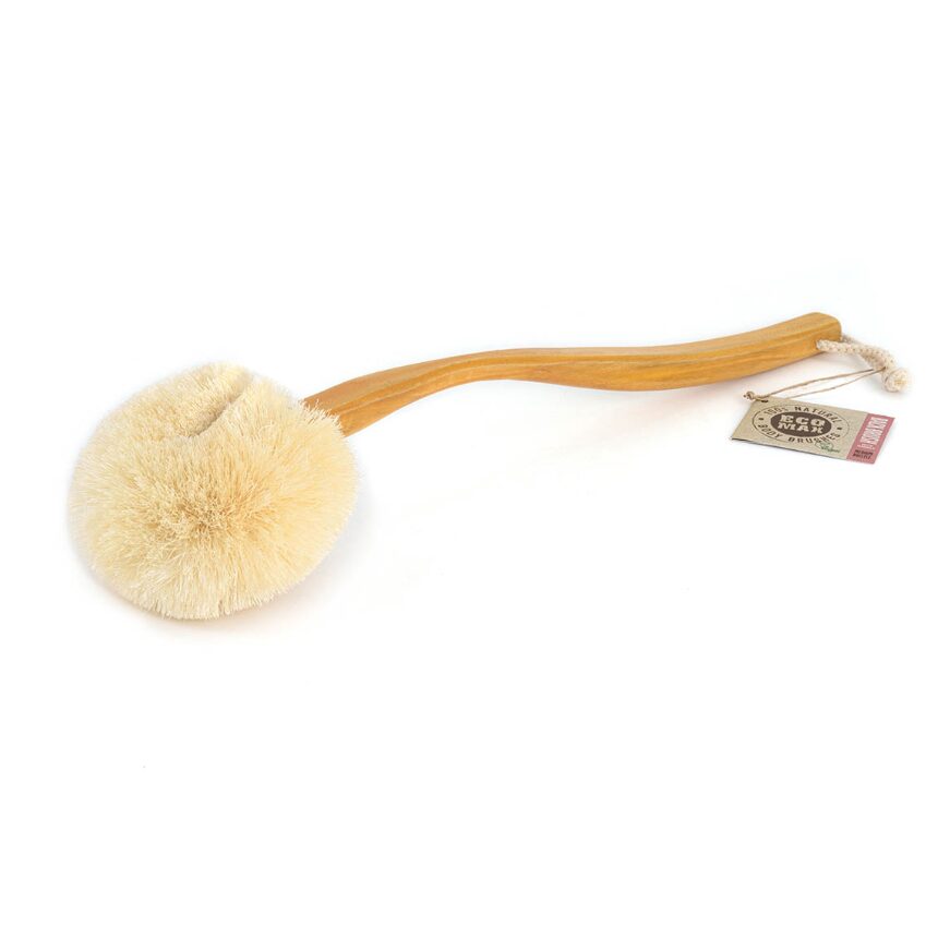 Long Handle Eco Back Brush