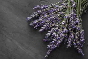 Lavender Flower