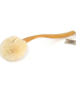 Long Handle Eco Back Brush